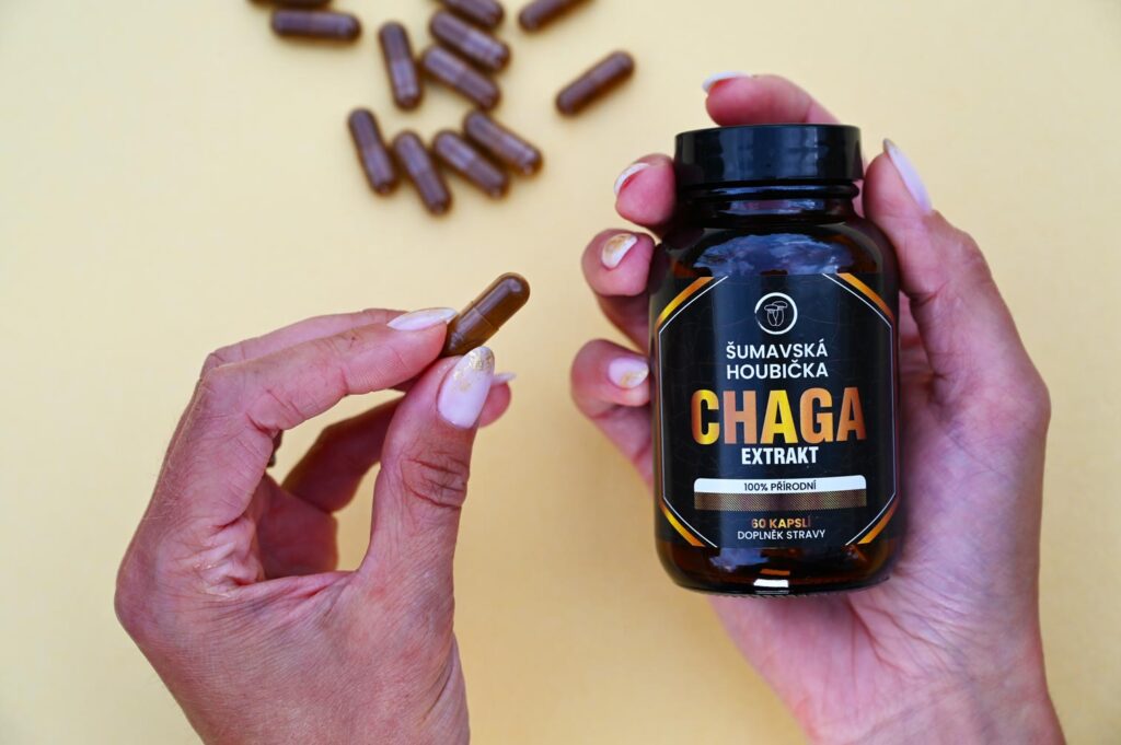 chaga kapsle