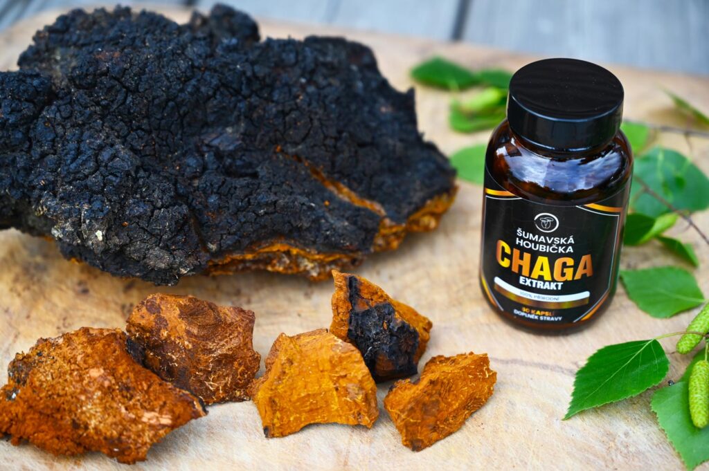 chaga čaga