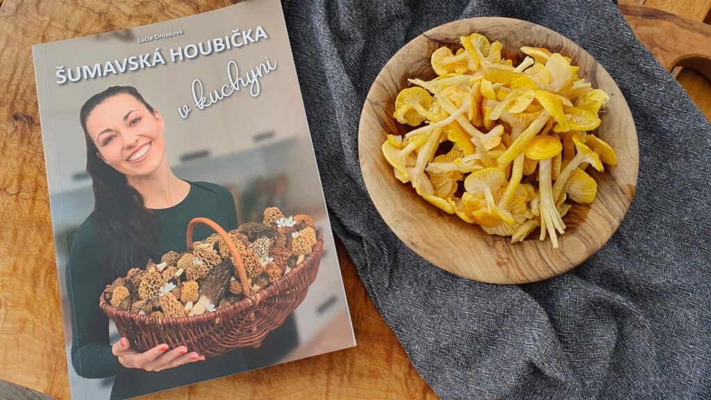 stavnatka modrinova recept