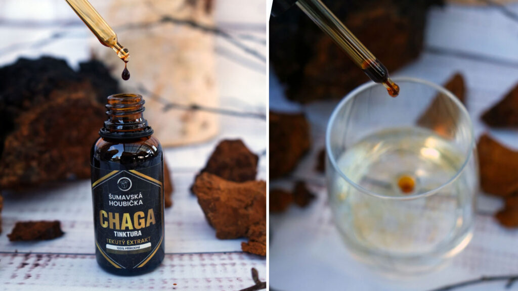 Chaga tinktura