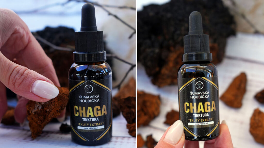 Chaga tinktura