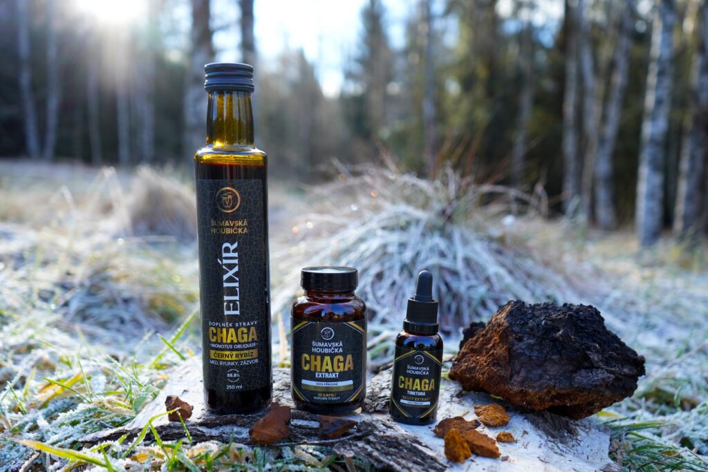 chaga elixir