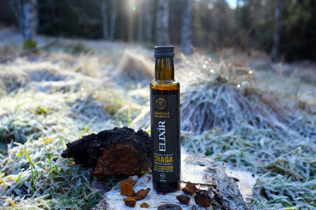 chaga elixír