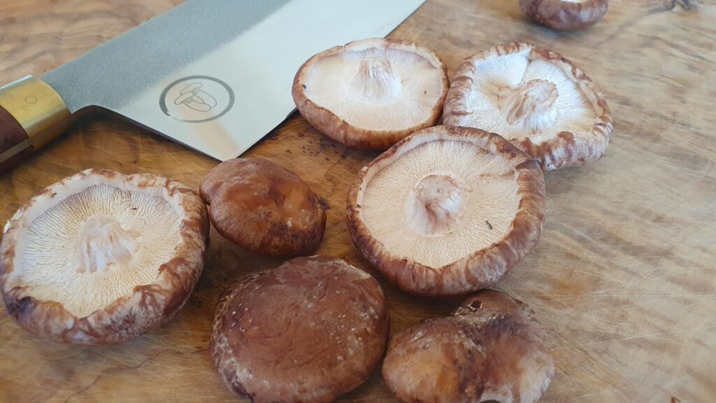 shiitake-houby