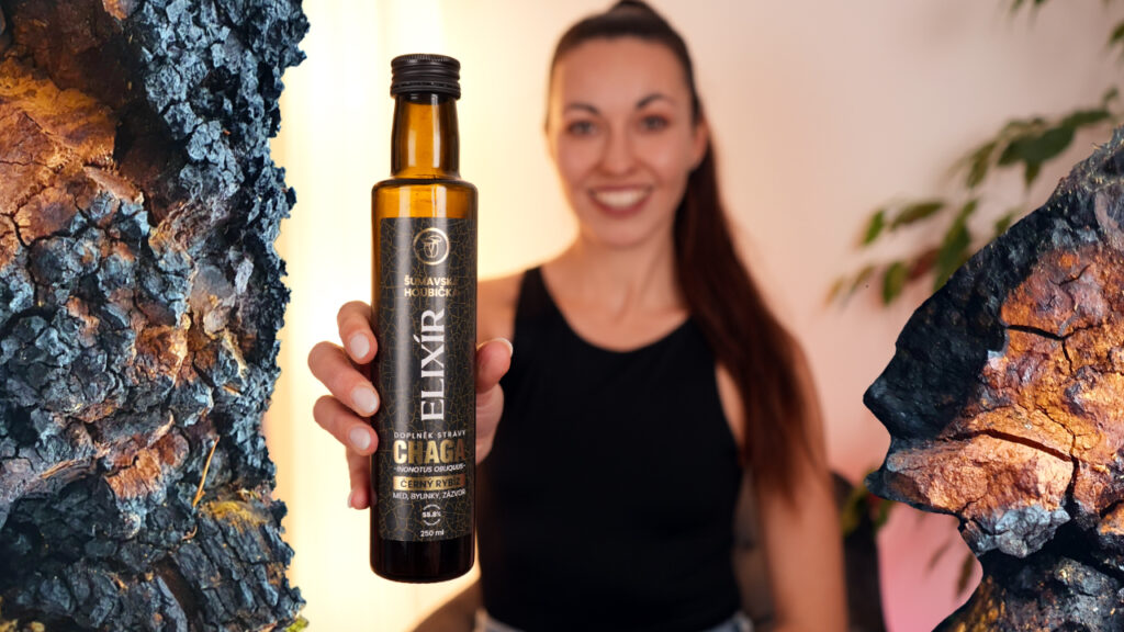 chaga elixír