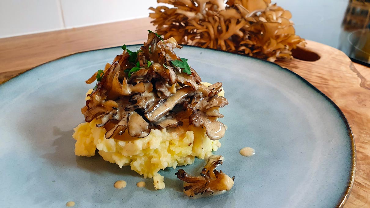 Maitake na smetaně recept