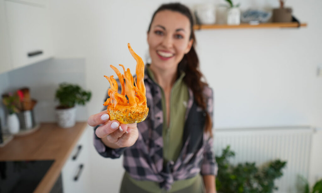 cordyceps účinky